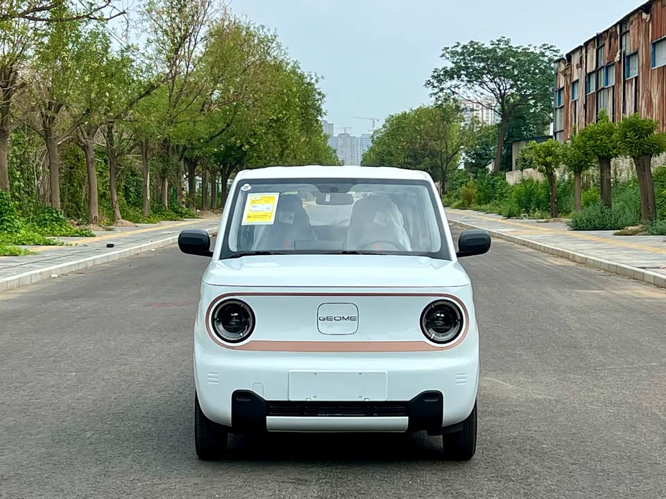 Geely Galaxy panda Geely Galaxy panda