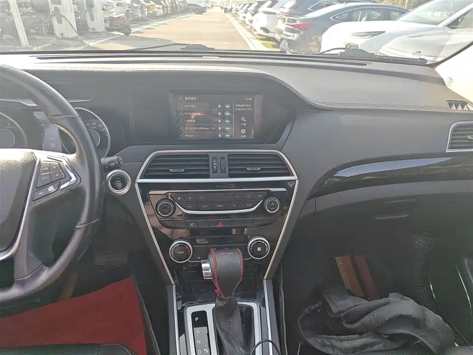 Leopaard Cheetah CS10