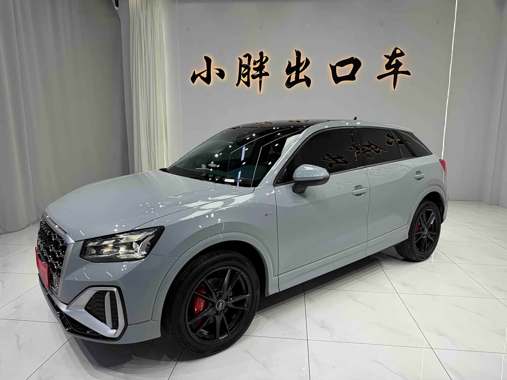 Audi Q2L