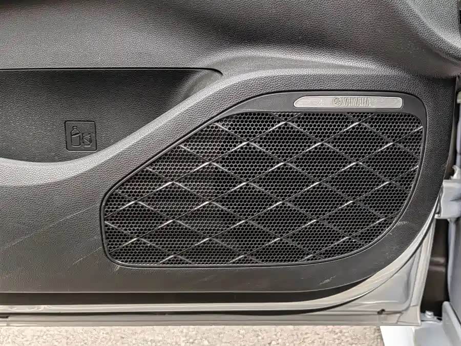 Trumpchi Shadow Leopard