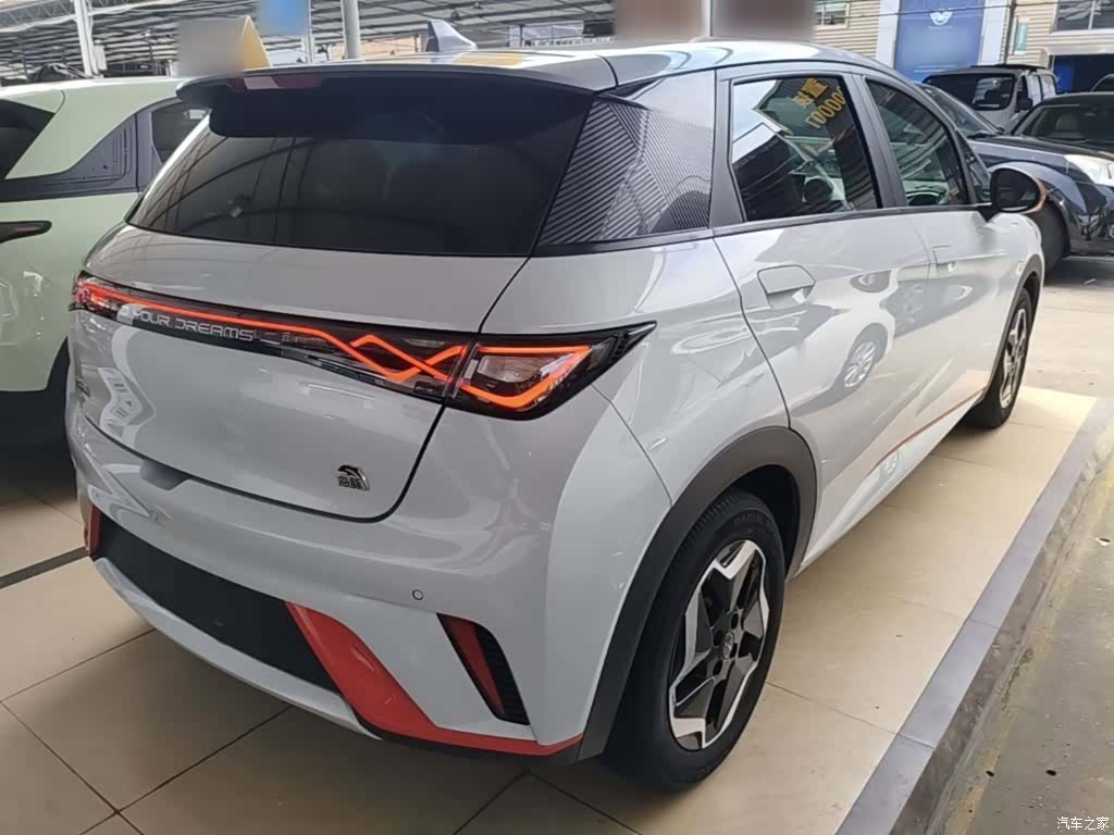 BYD Dolphin, 2021 7