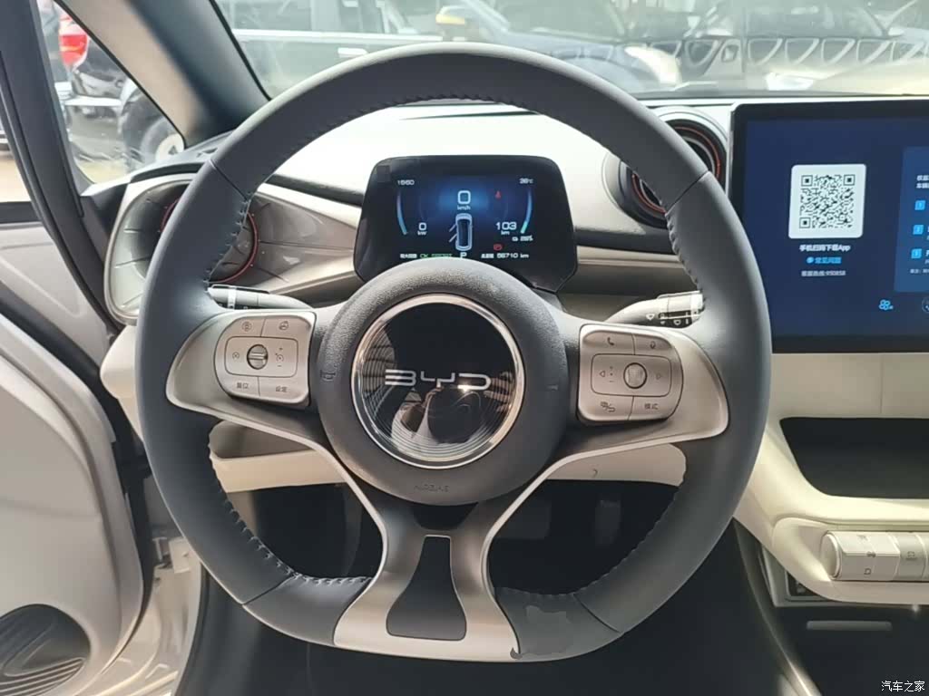 BYD Dolphin, 2021 11