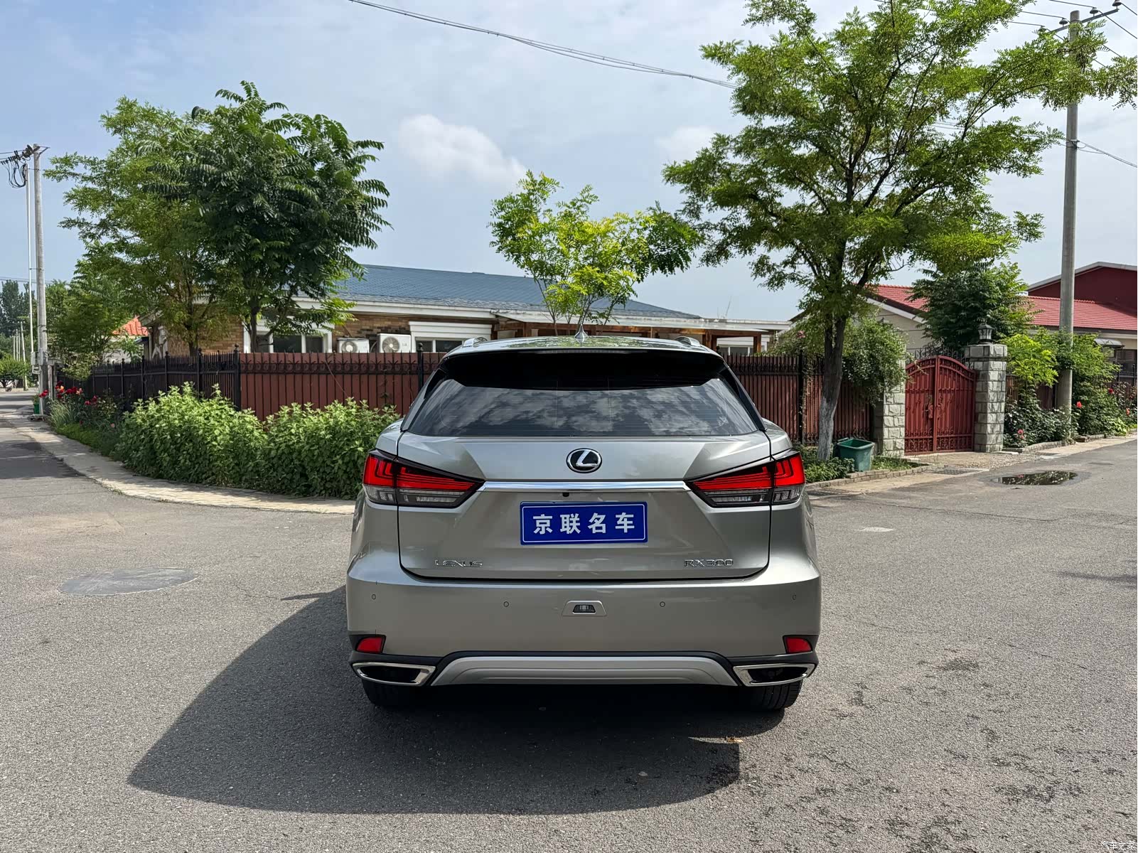 Lexus RX, 2022 13