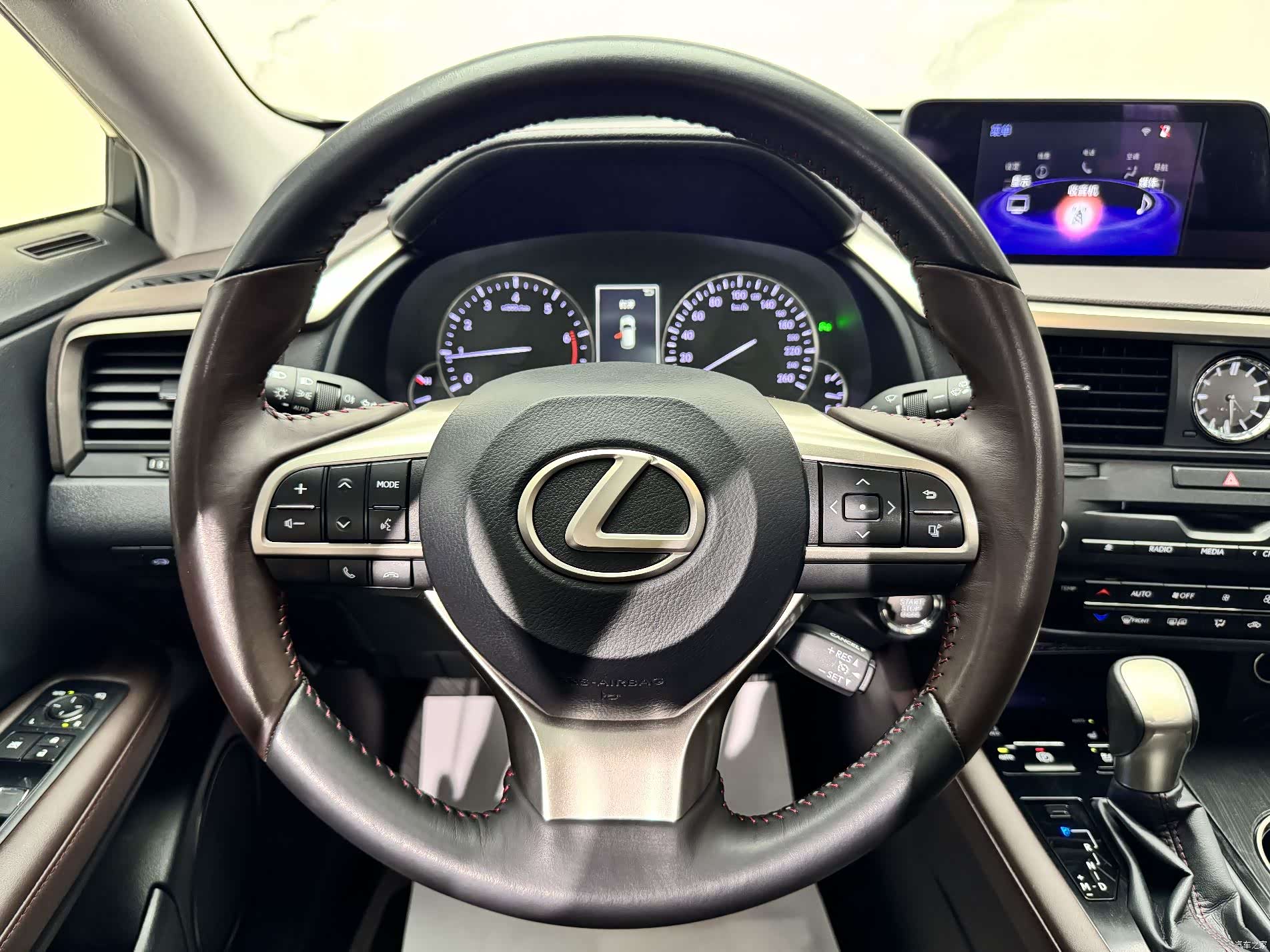 Lexus RX, 2019 10