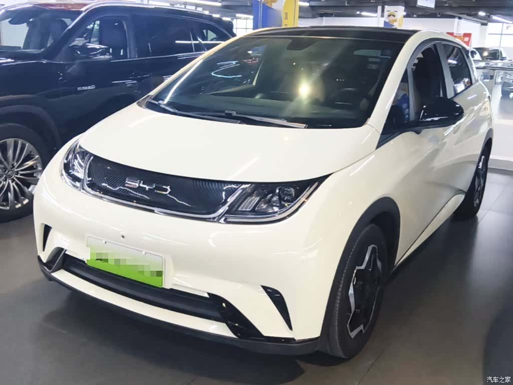 BYD Dolphin, 2023 1