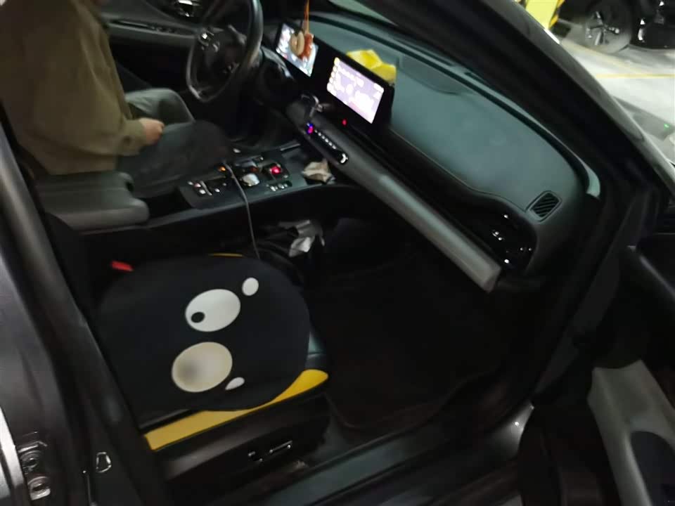 Trumpchi Shadow Leopard