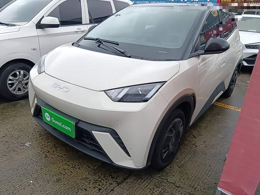 BYD Seagull