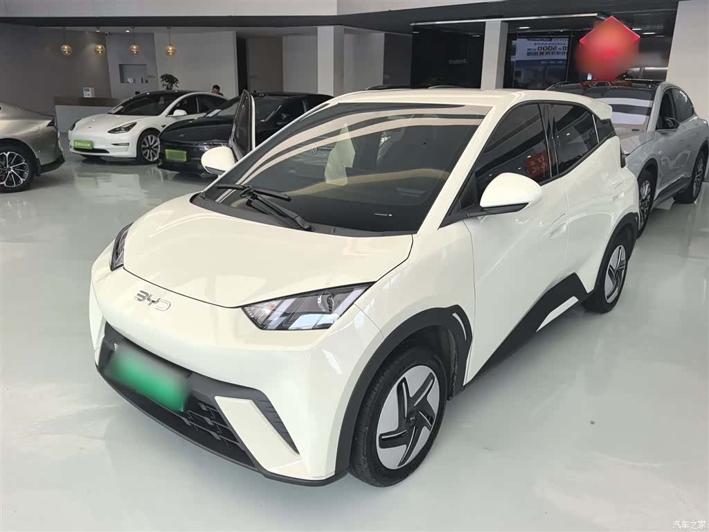 BYD Seagull, 2025 2