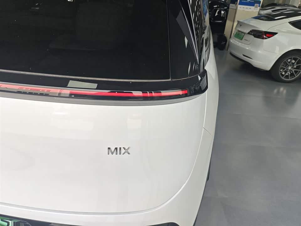 Zeekr MIX Zeekr MIX