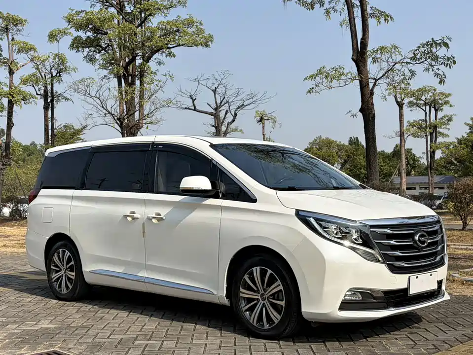 Trumpchi Trumpchi M8