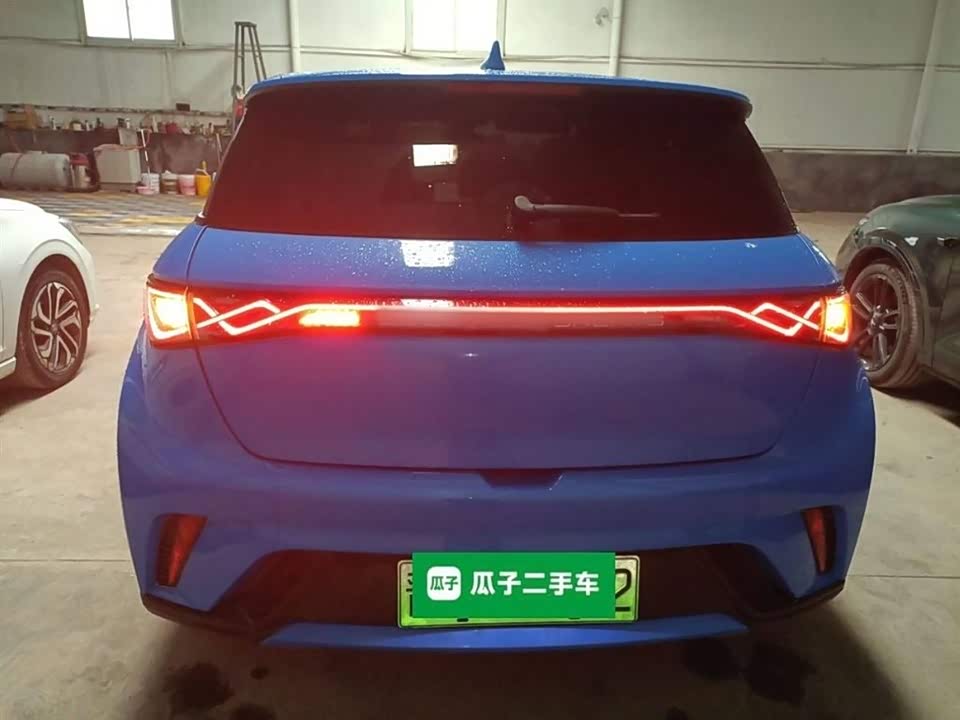 BYD dolphin