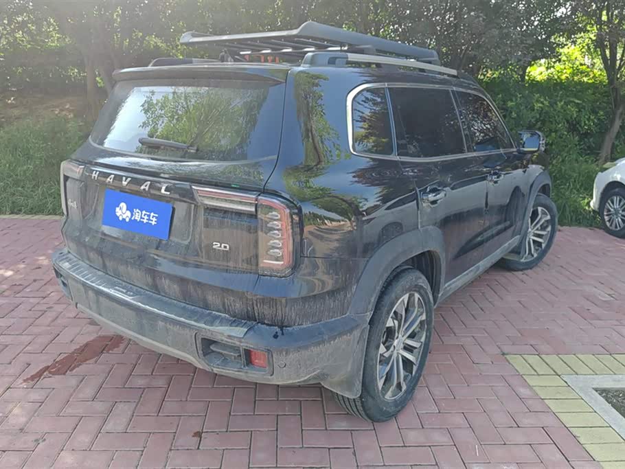 Haval Big dog