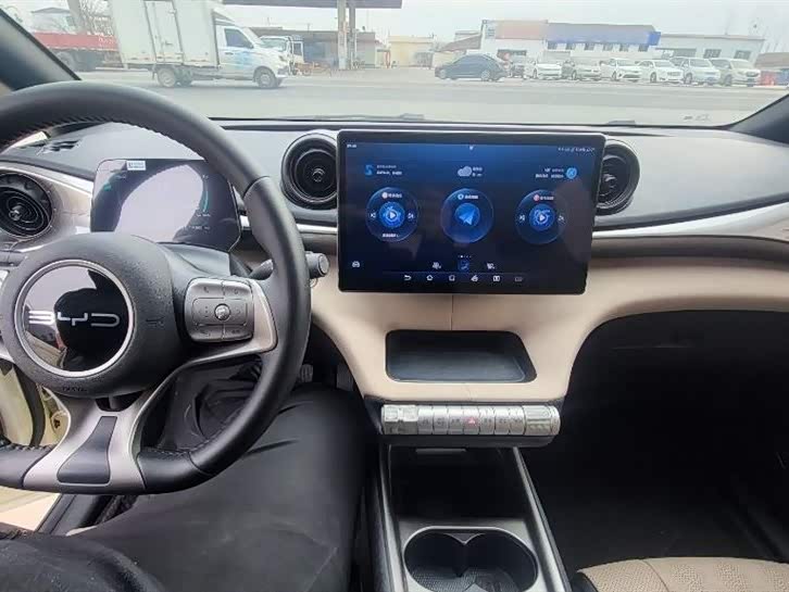 BYD dolphin
