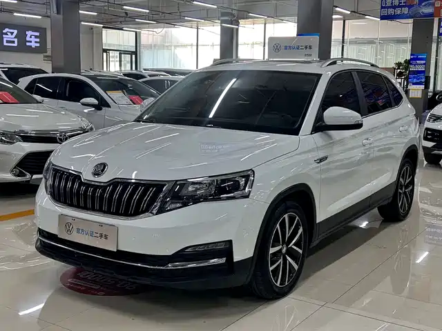 Škoda Kermick 2023 — купить из Китая под заказ