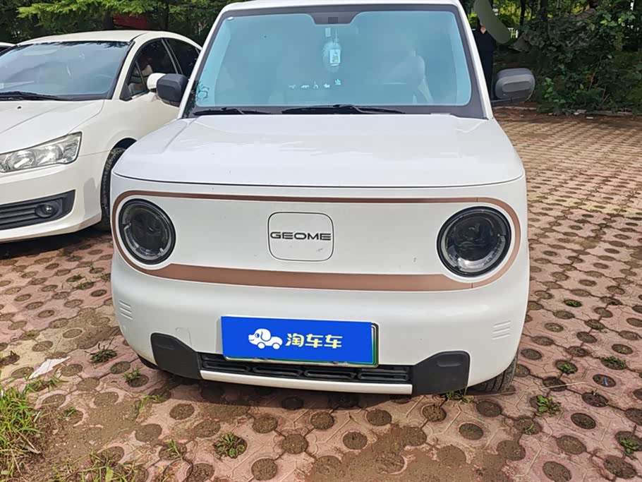 Geely Galaxy panda Geely Galaxy panda