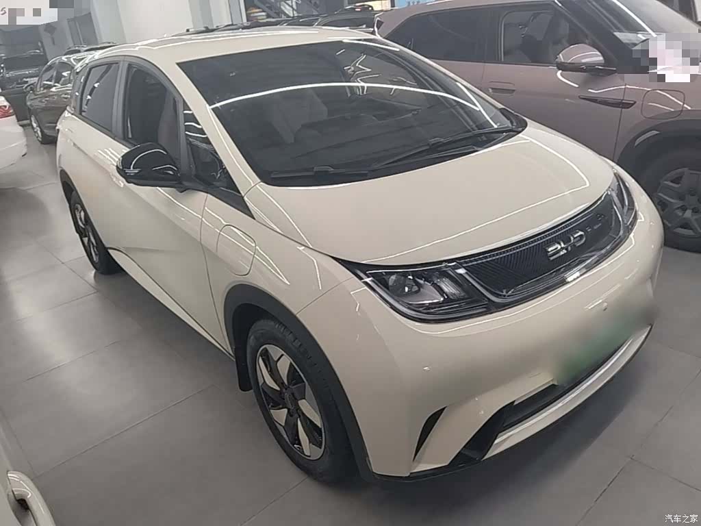 BYD Dolphin, 2026 22