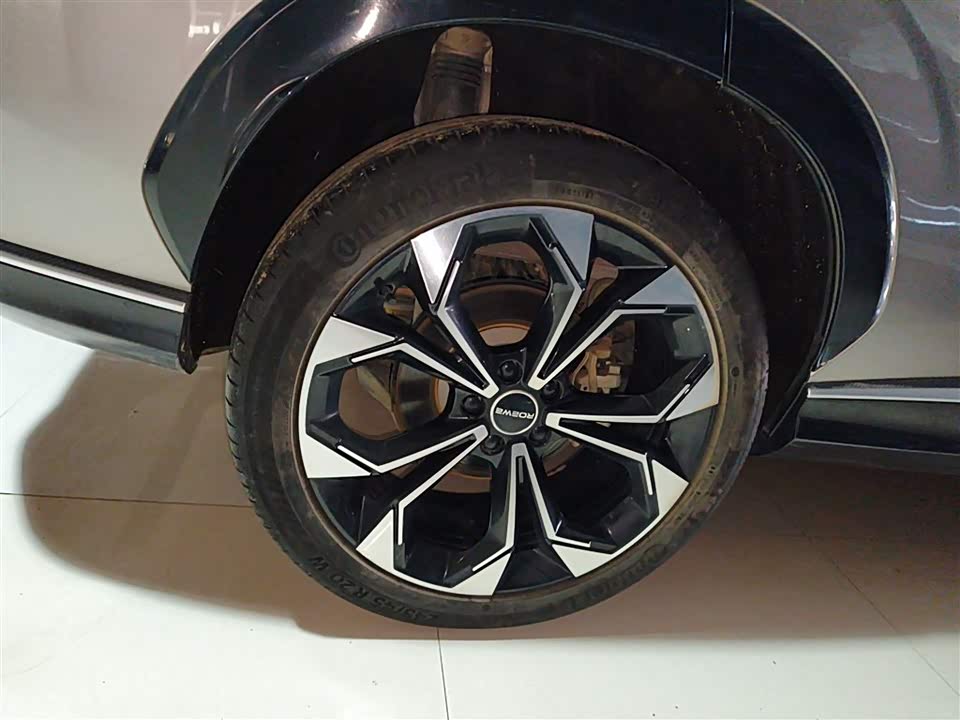 Roewe RX5 New energy