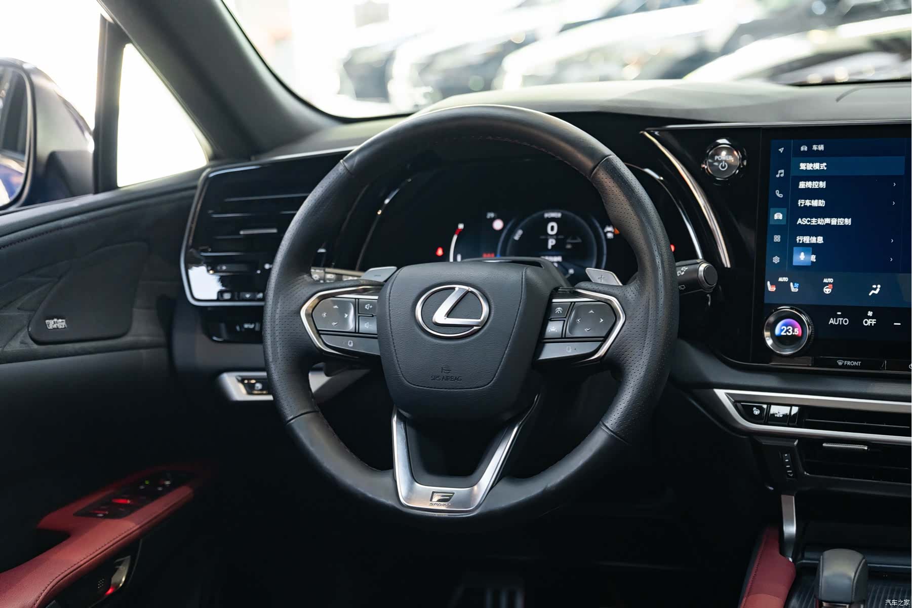 Lexus RX, 2023 14