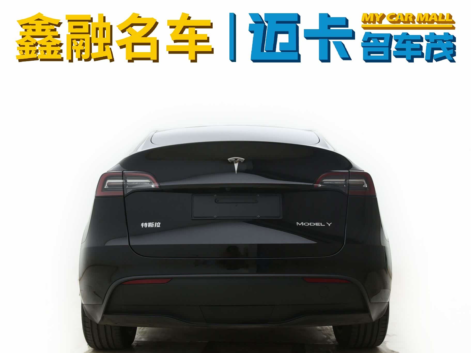 Tesla Model Y, 2021 10