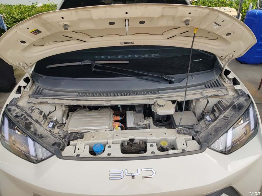 BYD Seagull, 2024 20