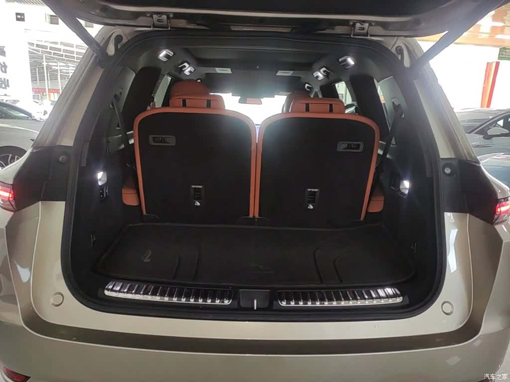 Li Auto L9, 2023 19