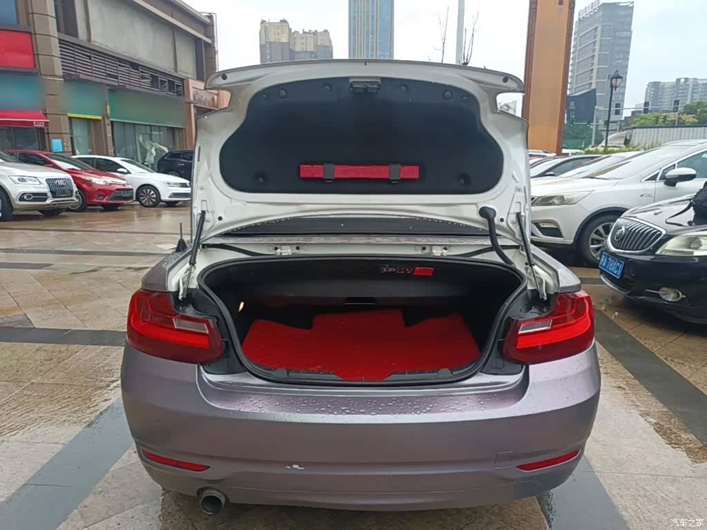BMW 2 Series, 2015 19