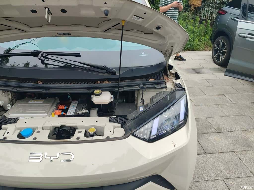 BYD Seagull, 2024 22