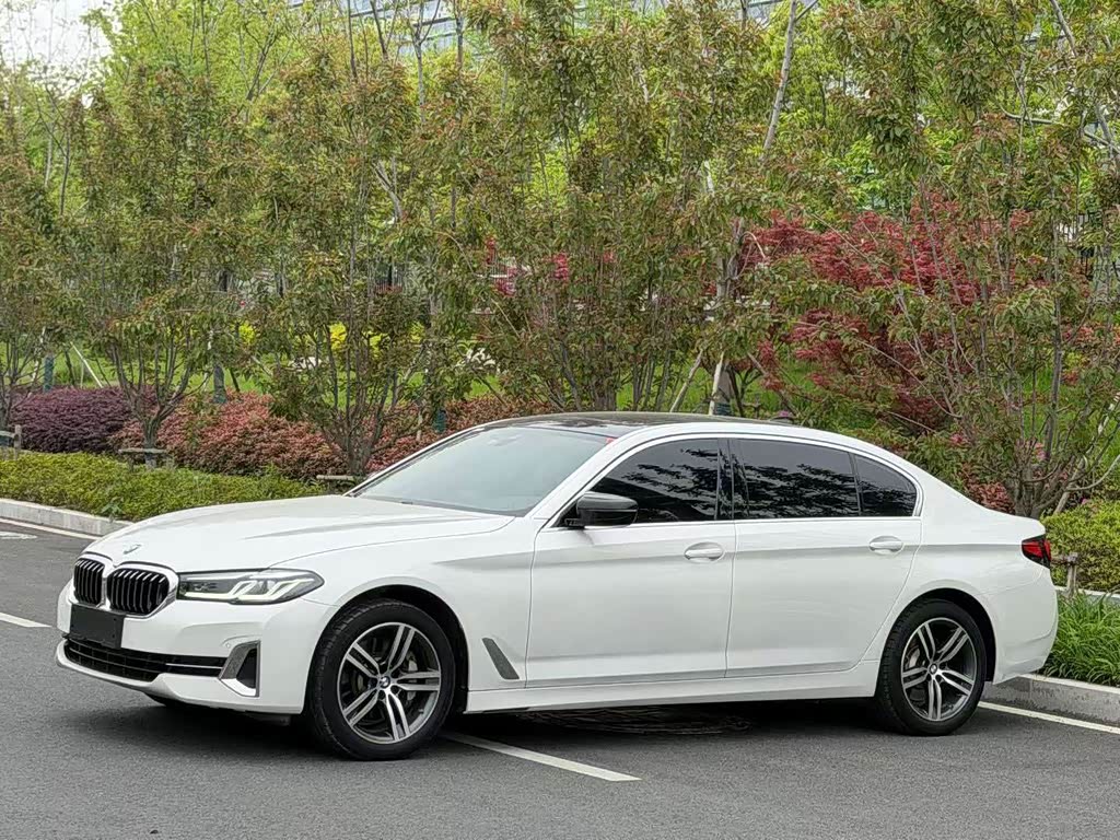 BMW 5 Series 5 2023 530Li Lead Luxury