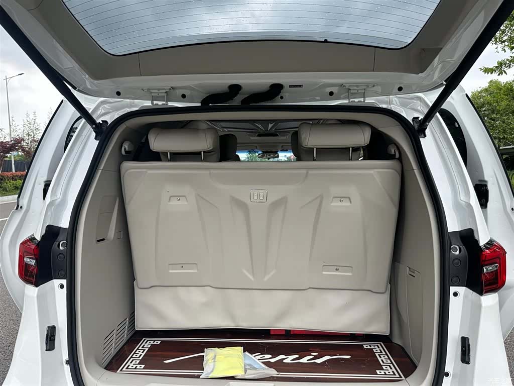 Buick GL8, 2021 13