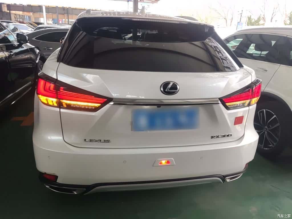 Lexus RX, 2022 6