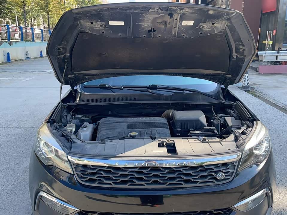 Leopaard Cheetah CS10