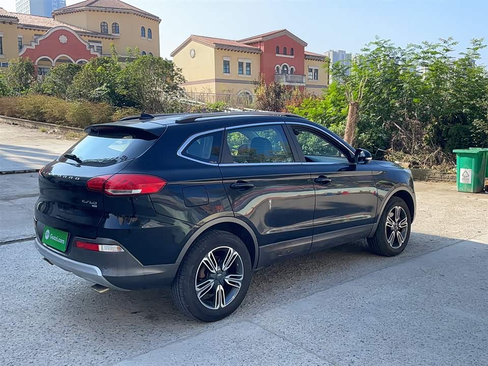 Leopaard Cheetah CS10