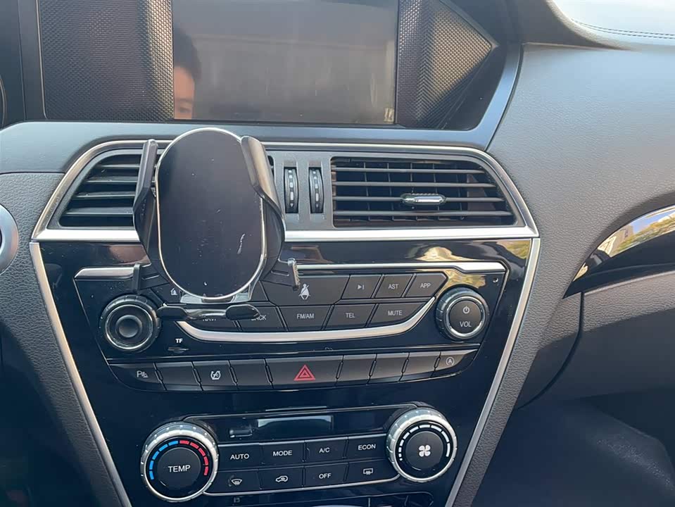 Leopaard Cheetah CS10