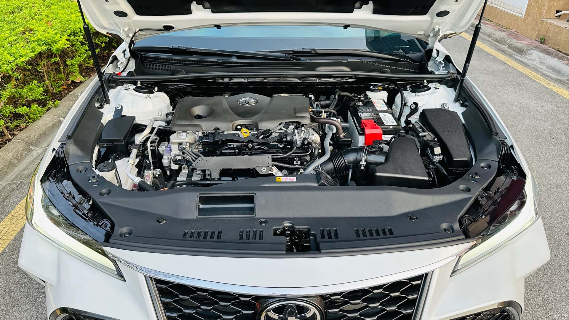 Toyota Avalon, 2023 все фото