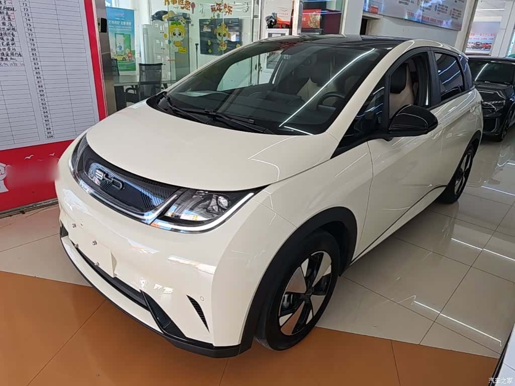 BYD Dolphin, 2023 1