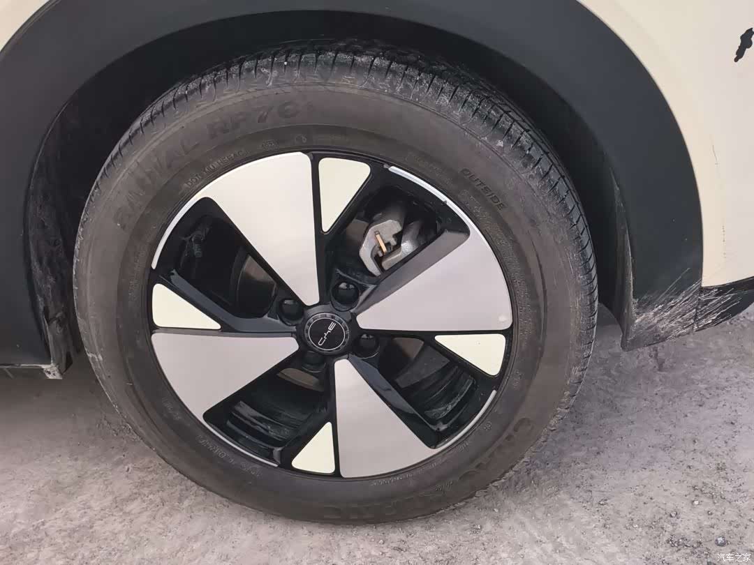 BYD Dolphin, 2024 7