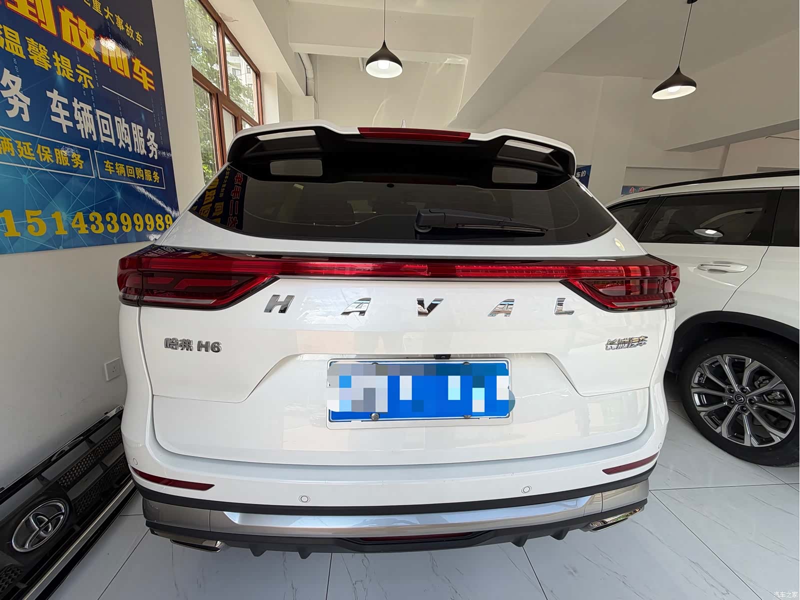 Haval H6, 2023 все фото