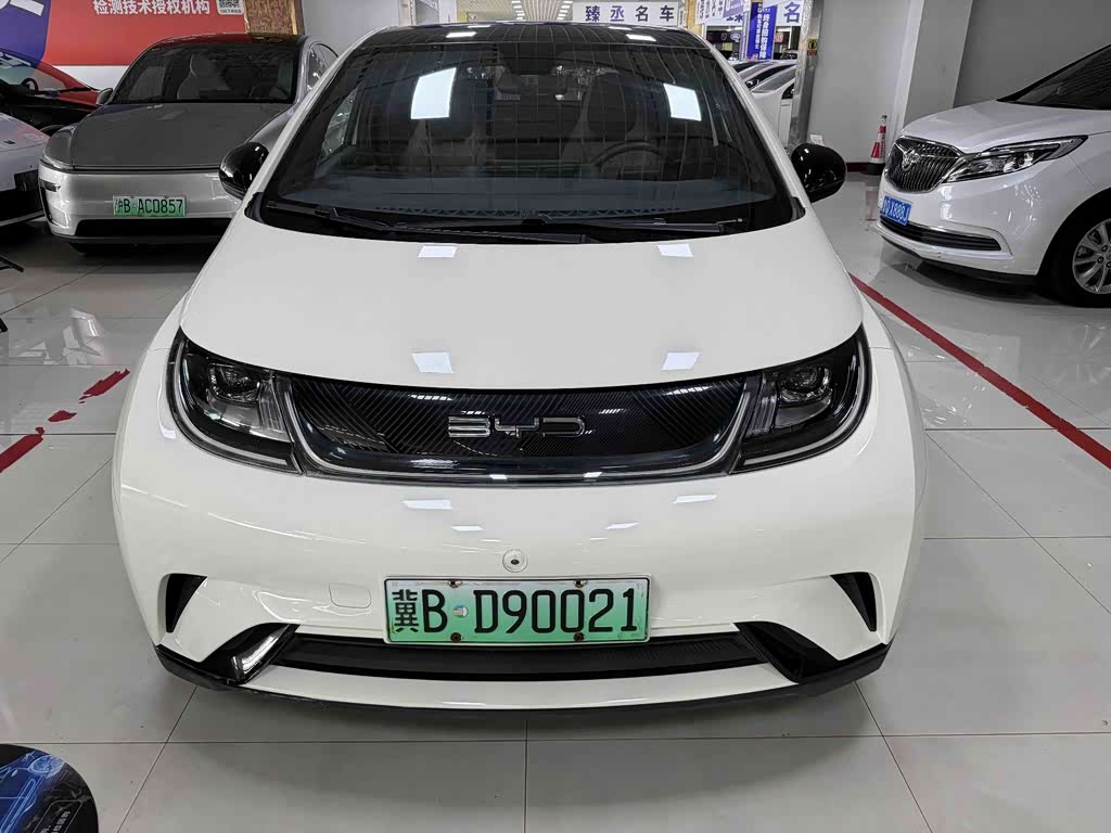 BYD Dolphin