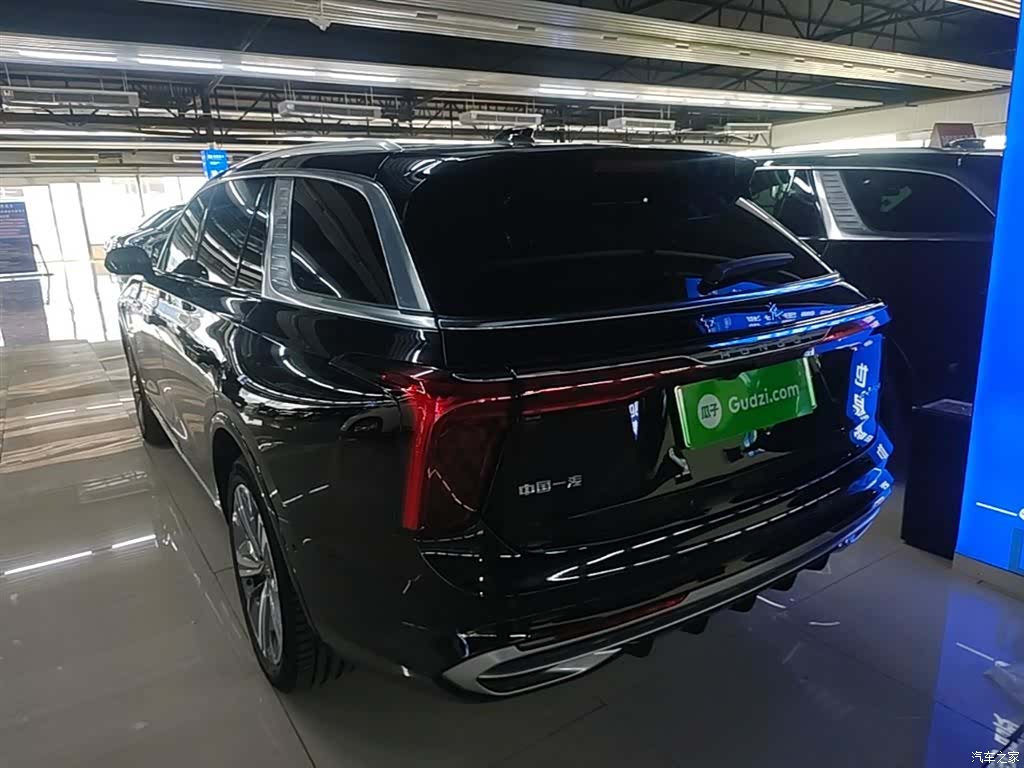 Hongqi E-HS9, 2023 все фото