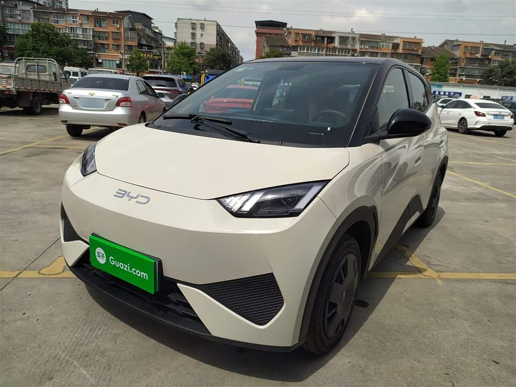 BYD Seagull