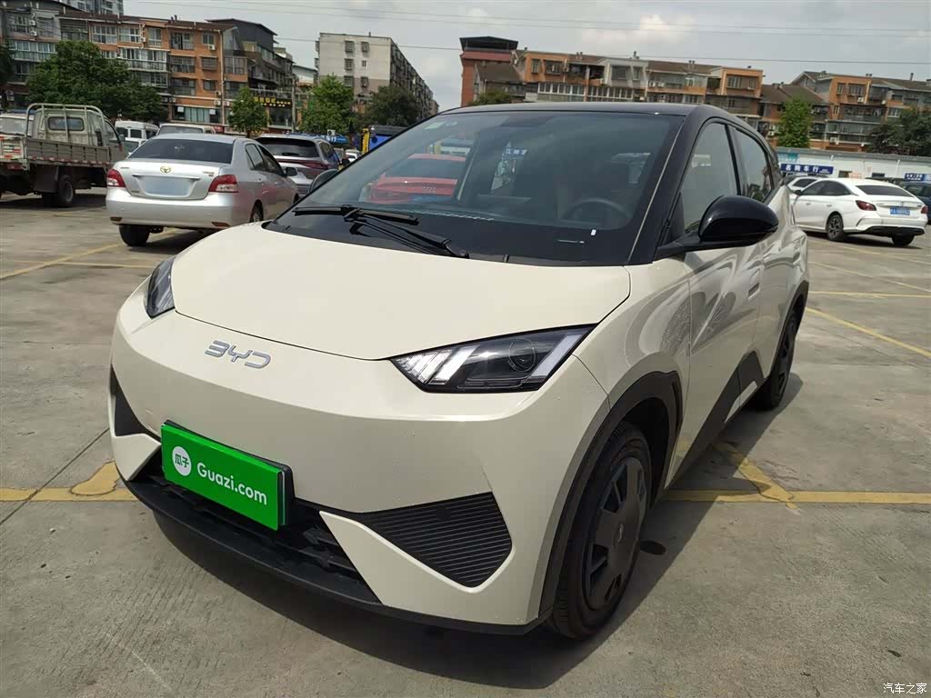 BYD Seagull, 2025 1