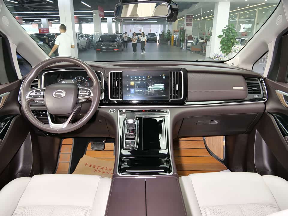 Trumpchi Trumpchi M8