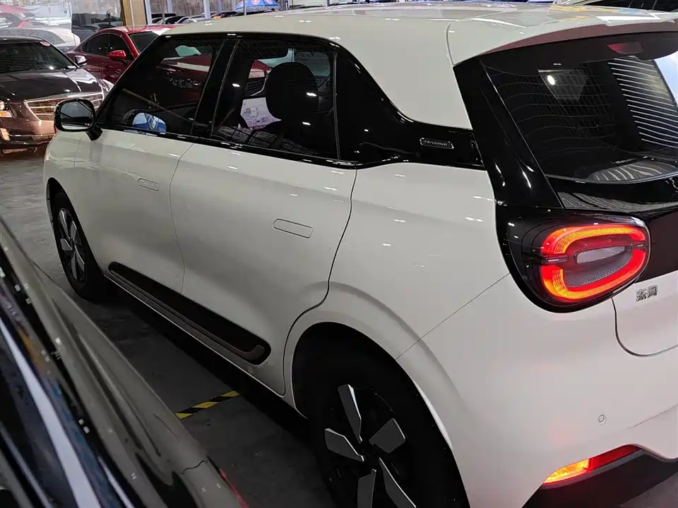 Dongfeng Nammi Nano 01