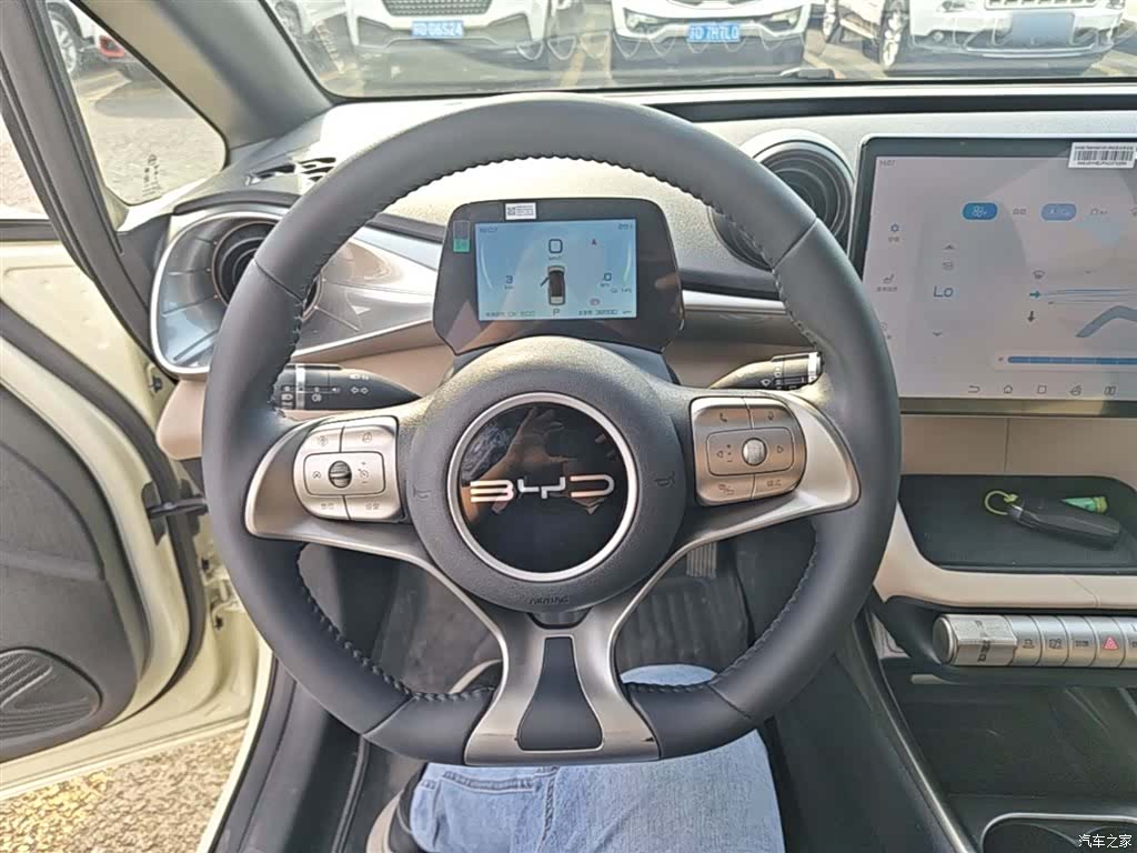 BYD Dolphin, 2024 11