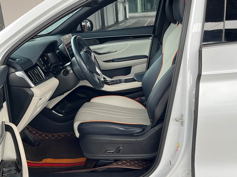 BYD Song PLUS New Energy 2023, фото 7