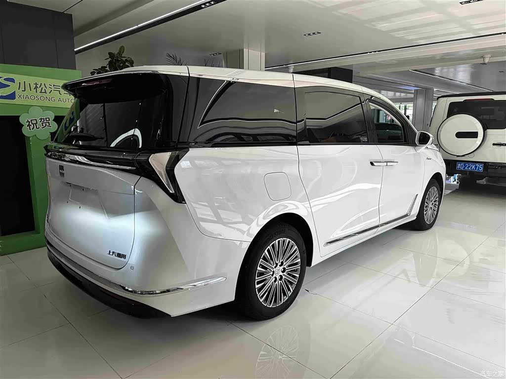 Buick GL8, 2025 все фото