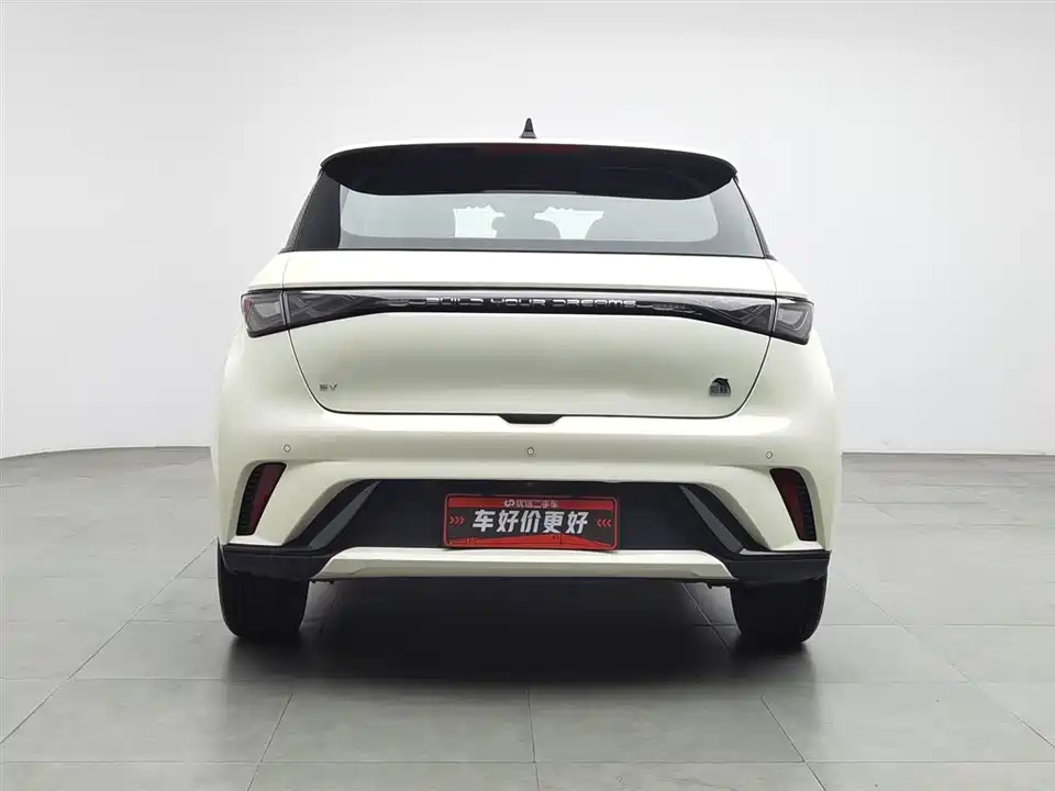 BYD dolphin