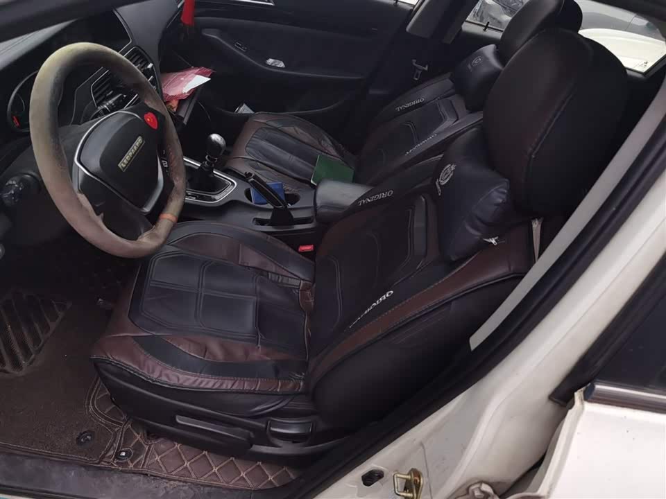 Leopaard Cheetah CS10