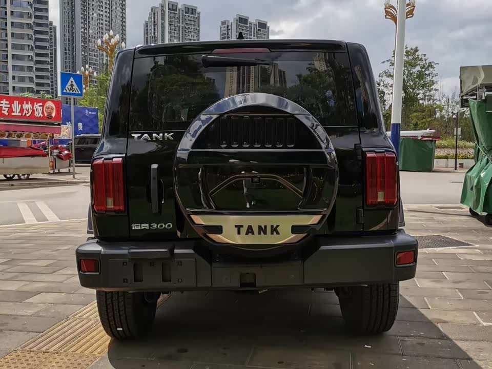 Tank 300