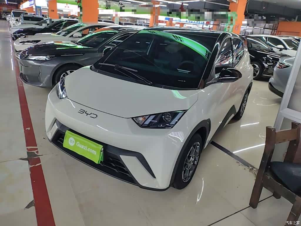 BYD Seagull, 2025 1